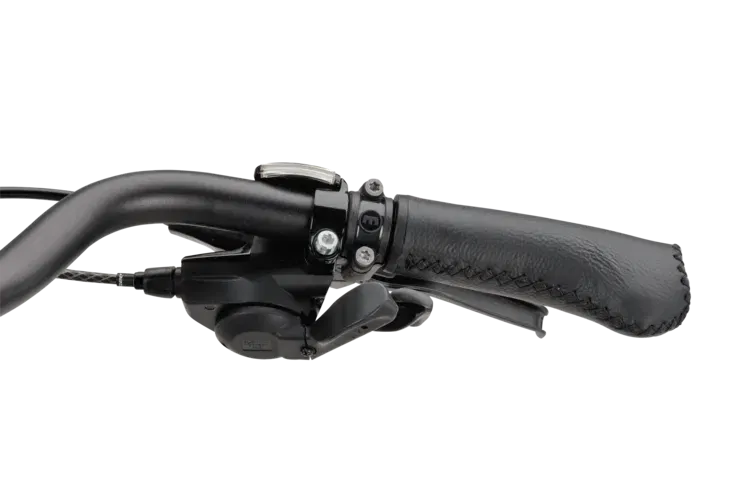 Batavus Dinsdag Exclusive