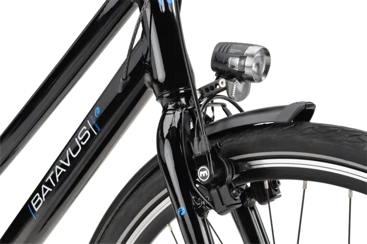 Batavus Dinsdag Exclusive