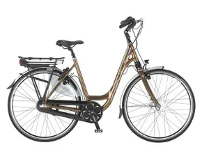 E-bike Multicycle nieuwe generatie middenmotor