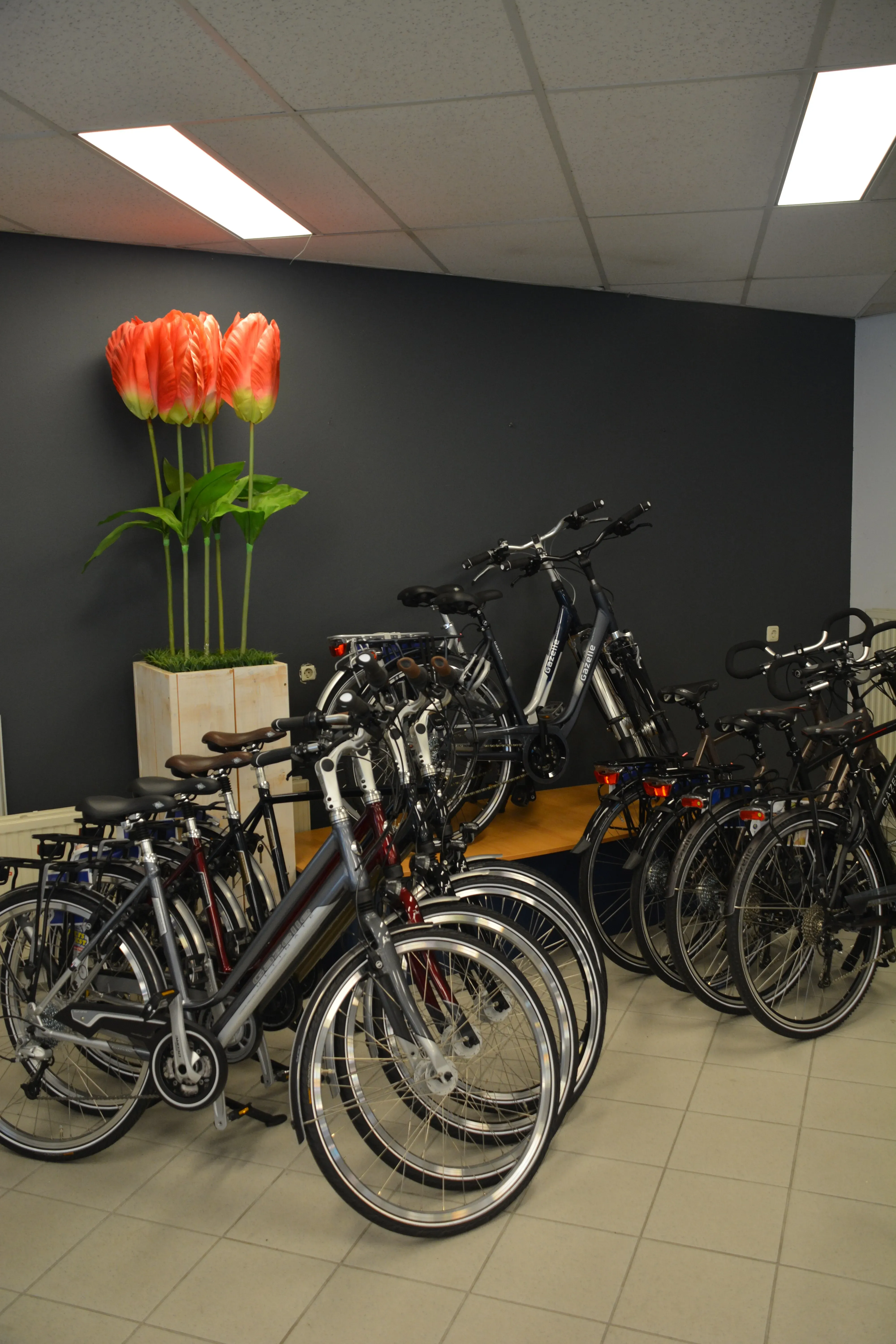 Gazelle fietsen bij Holtlamp Hengelo in de winkel.