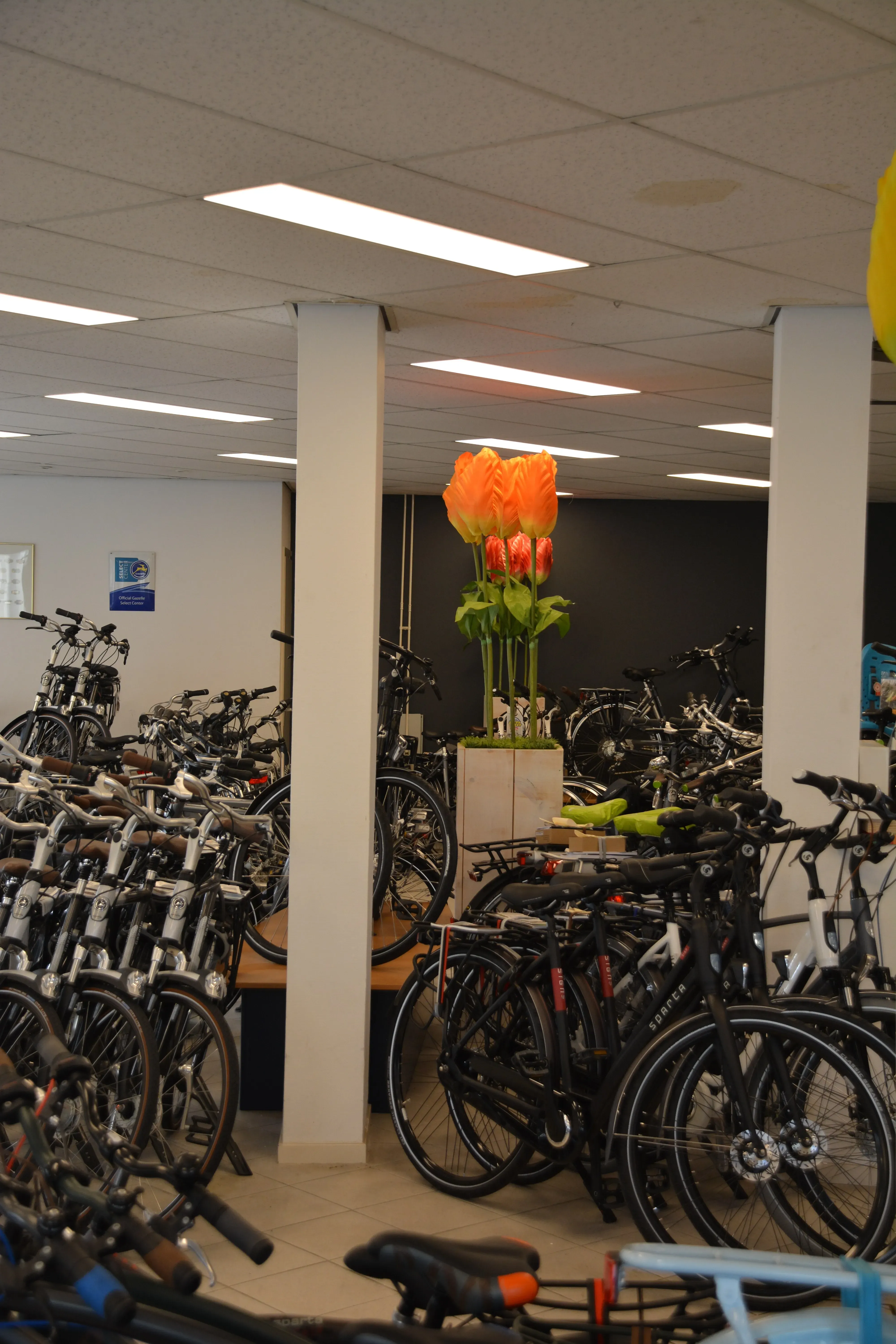 Overzichtsfoto winkel Holtkamp Tweewielers Hengelo