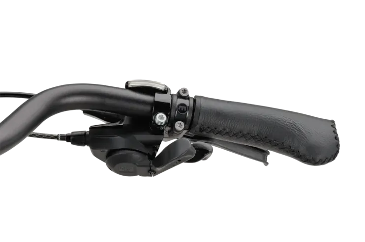 Batavus Dinsdag Exclusive