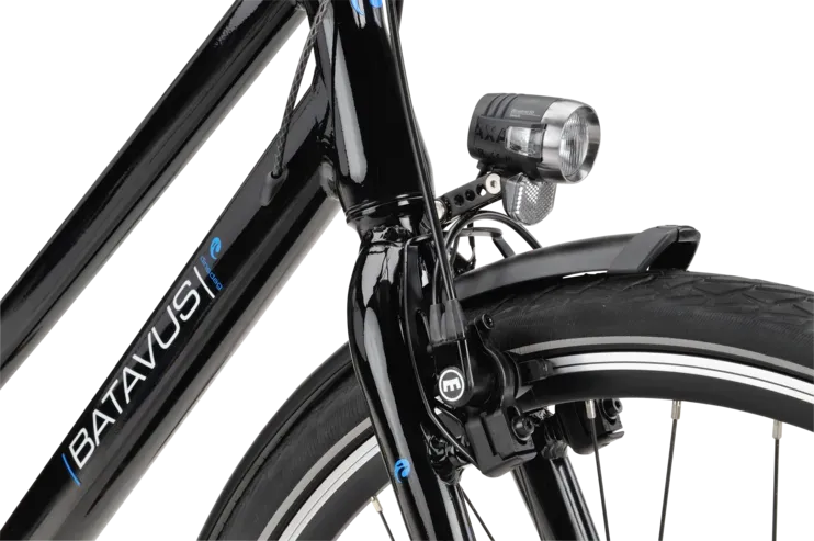 Batavus Dinsdag Exclusive